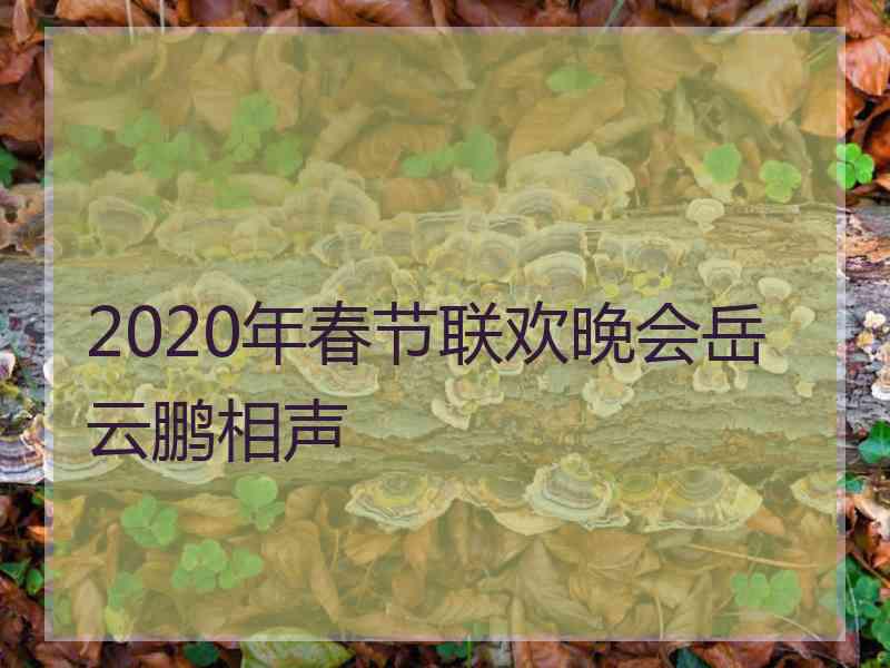 2020年春节联欢晚会岳云鹏相声