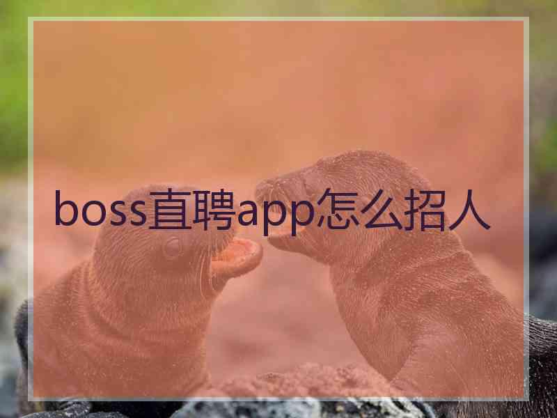 boss直聘app怎么招人