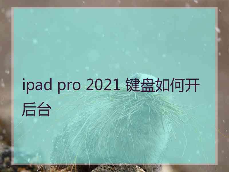 ipad pro 2021 键盘如何开后台