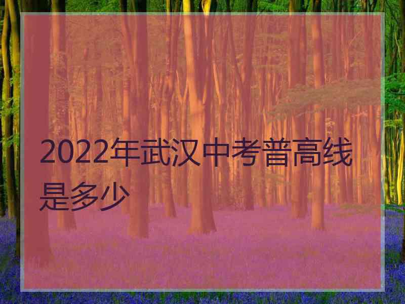 2022年武汉中考普高线是多少