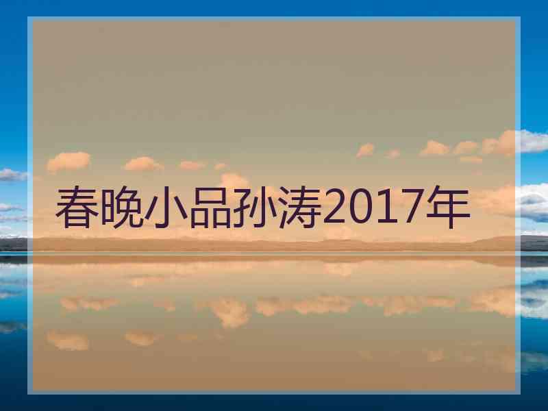 春晚小品孙涛2017年