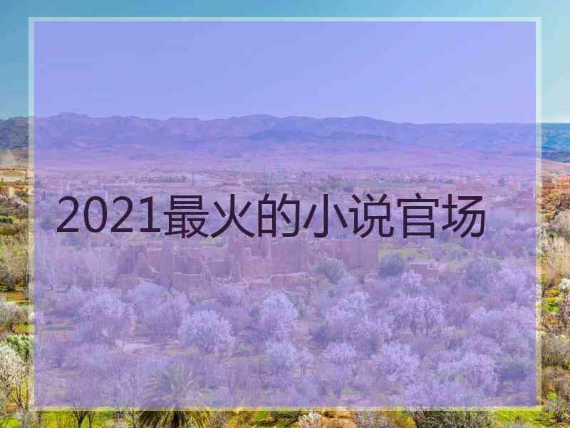 2021最火的小说官场