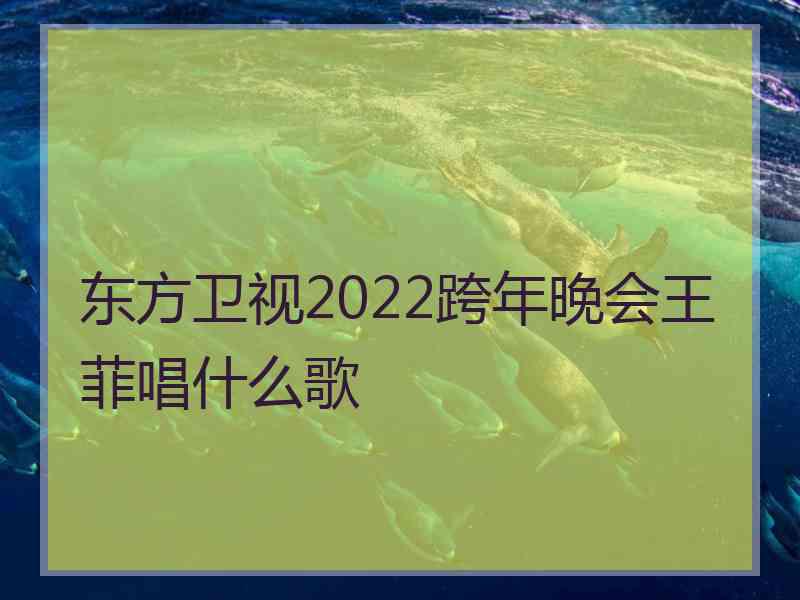 东方卫视2022跨年晚会王菲唱什么歌