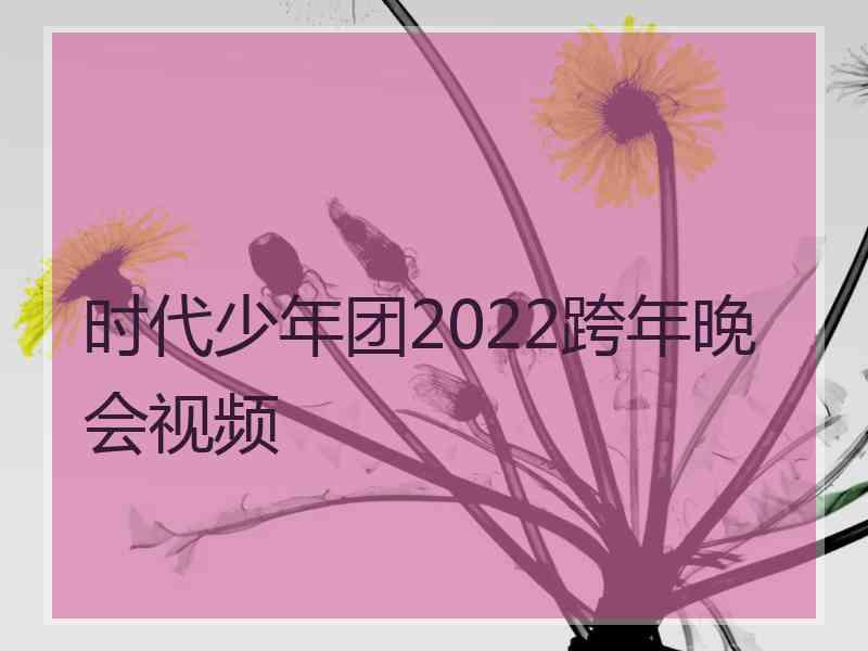 时代少年团2022跨年晚会视频