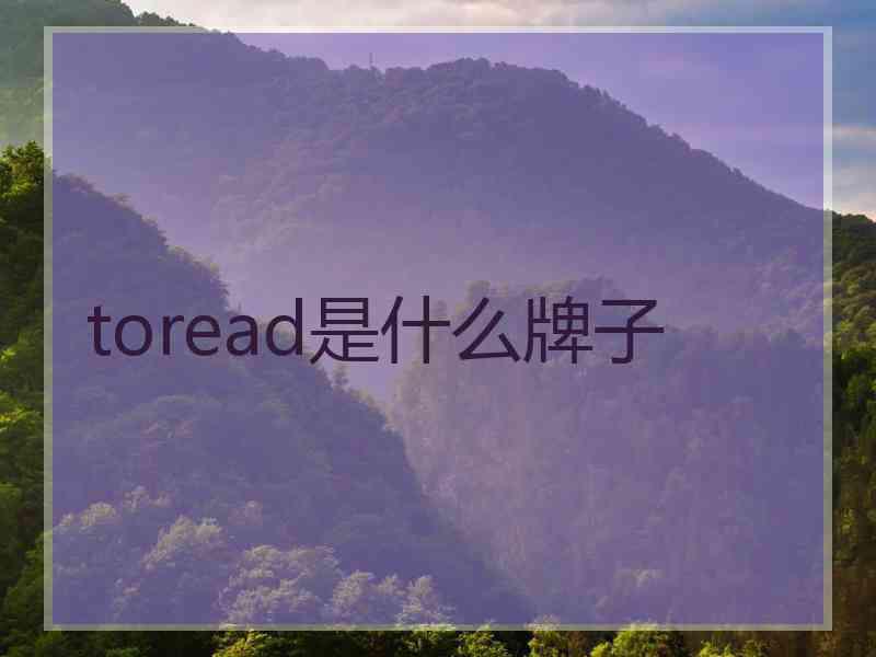 toread是什么牌子