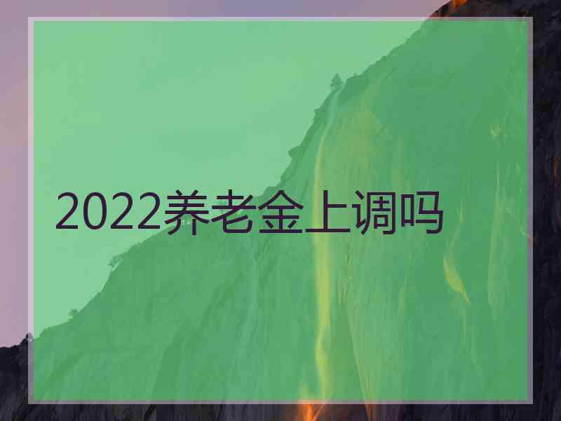 2022养老金上调吗