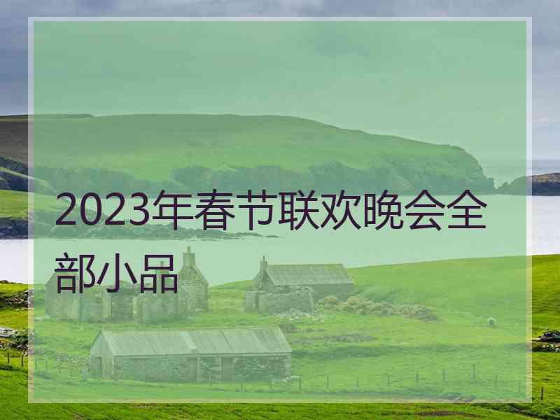 2023年春节联欢晚会全部小品