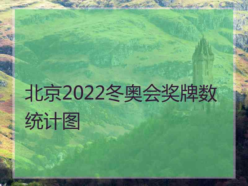 北京2022冬奥会奖牌数统计图