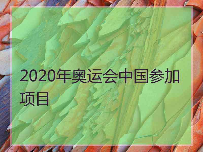 2020年奥运会中国参加项目