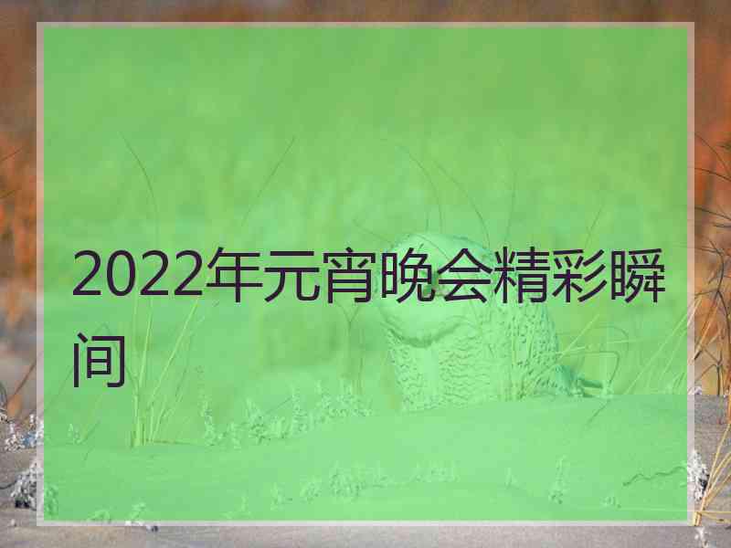 2022年元宵晚会精彩瞬间