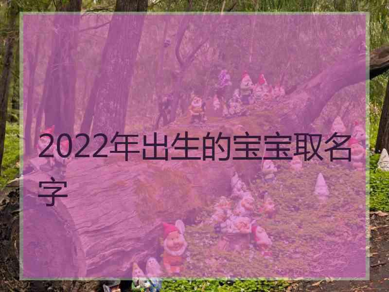 2022年出生的宝宝取名字