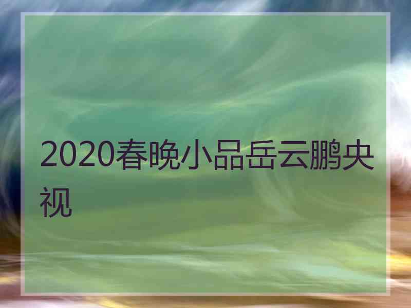 2020春晚小品岳云鹏央视