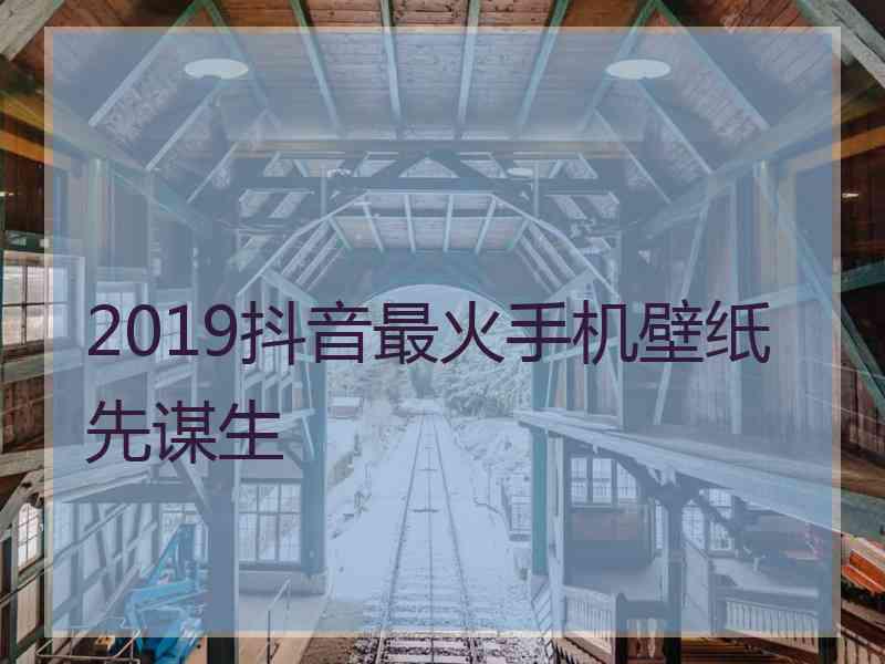 2019抖音最火手机壁纸先谋生