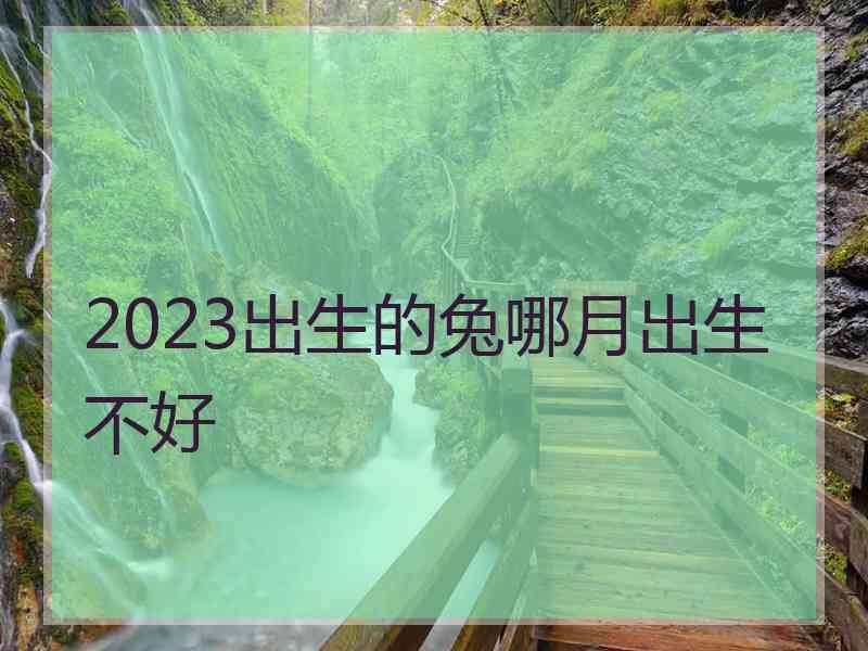 2023出生的兔哪月出生不好