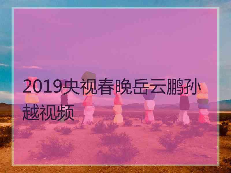 2019央视春晚岳云鹏孙越视频