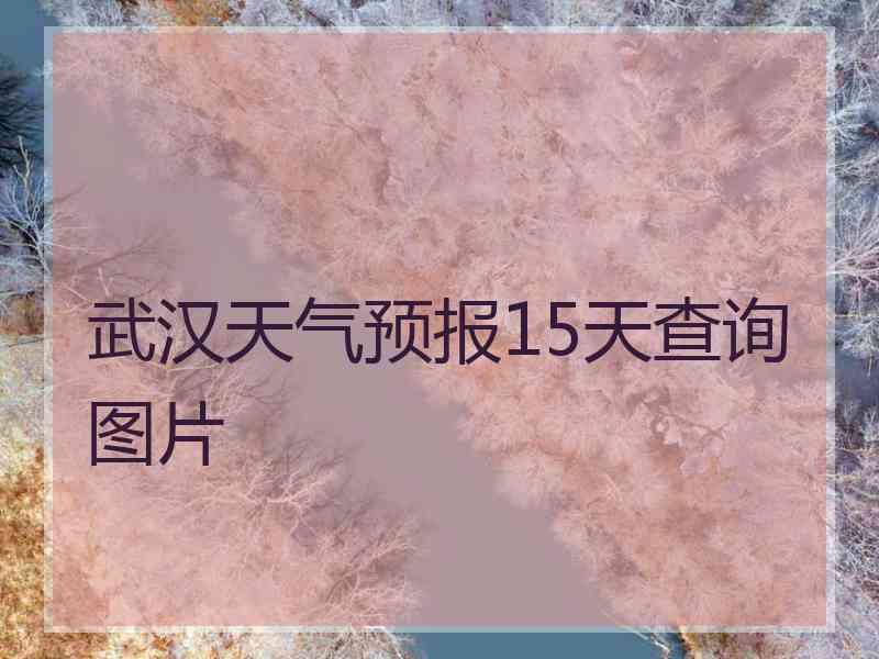 武汉天气预报15天查询图片