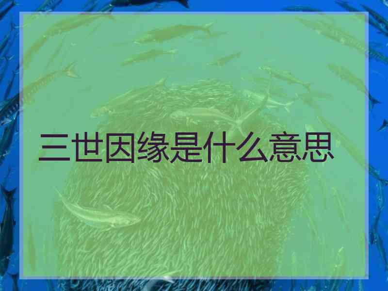 三世因缘是什么意思