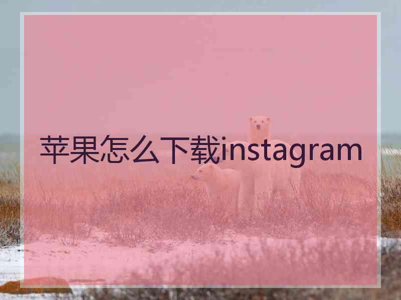 苹果怎么下载instagram