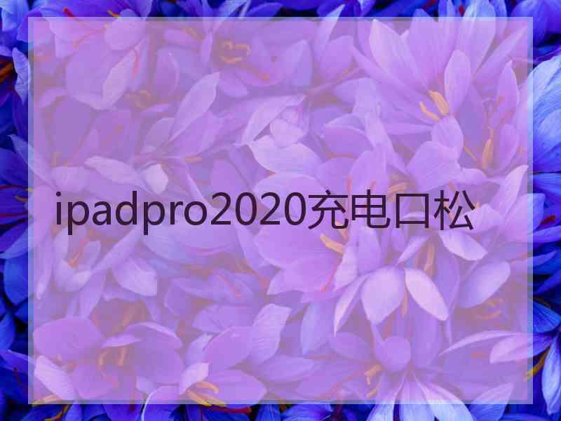 ipadpro2020充电口松