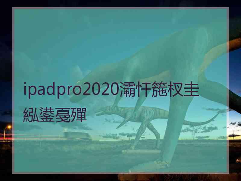 ipadpro2020灞忓箷杈圭紭鍙戞殫