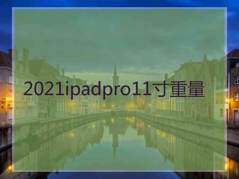 2021ipadpro11寸重量