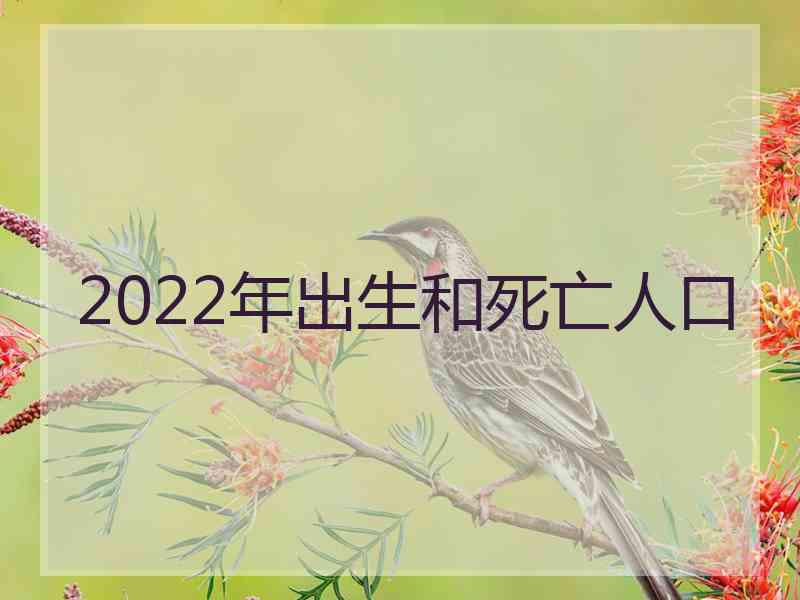 2022年出生和死亡人口