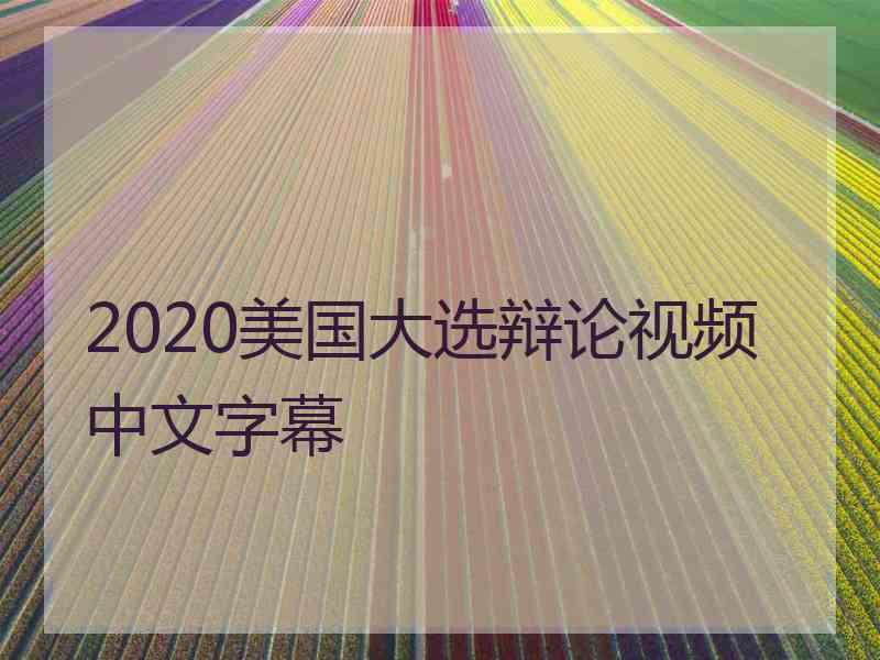 2020美国大选辩论视频中文字幕