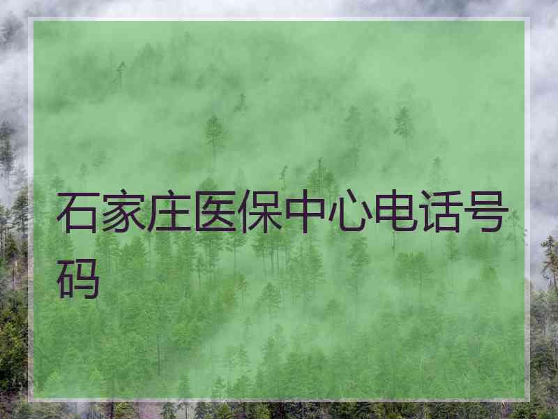 石家庄医保中心电话号码