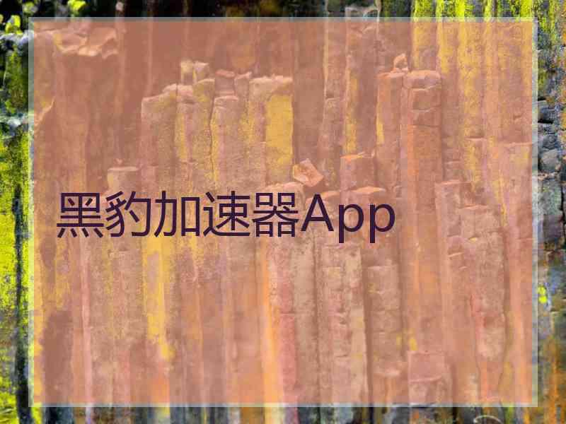 黑豹加速器App