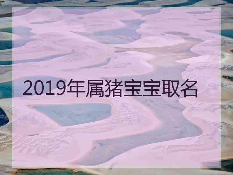 2019年属猪宝宝取名