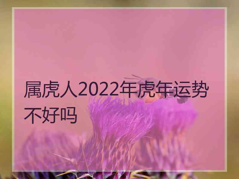 属虎人2022年虎年运势不好吗