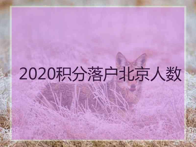 2020积分落户北京人数