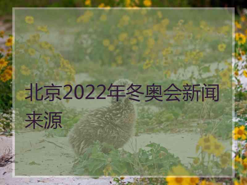 北京2022年冬奥会新闻来源