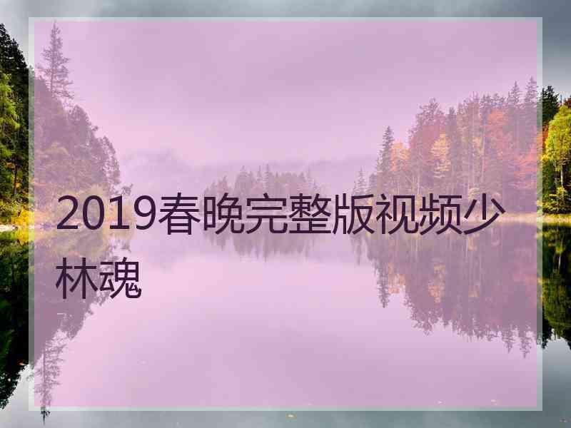 2019春晚完整版视频少林魂