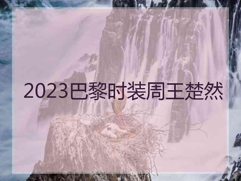 2023巴黎时装周王楚然