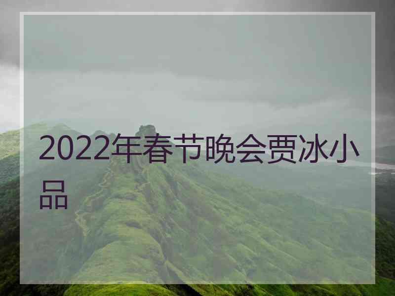 2022年春节晚会贾冰小品