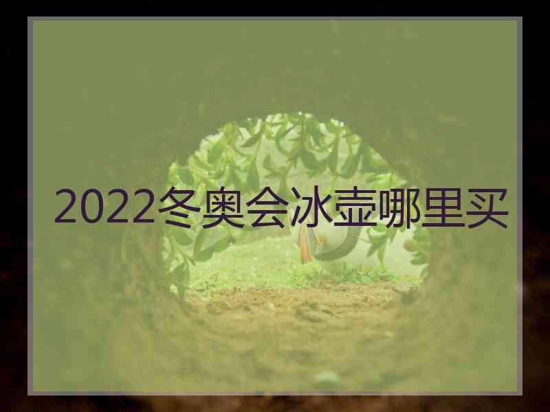 2022冬奥会冰壶哪里买