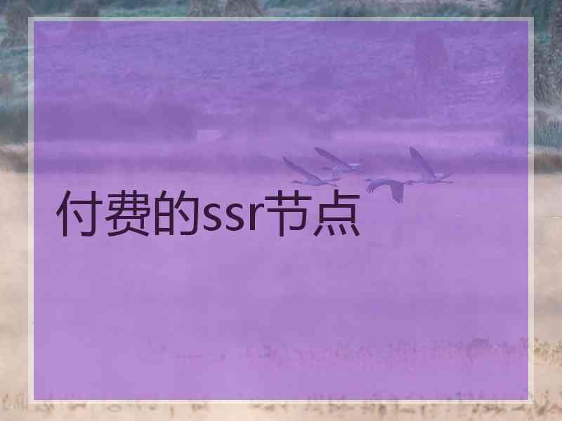 付费的ssr节点