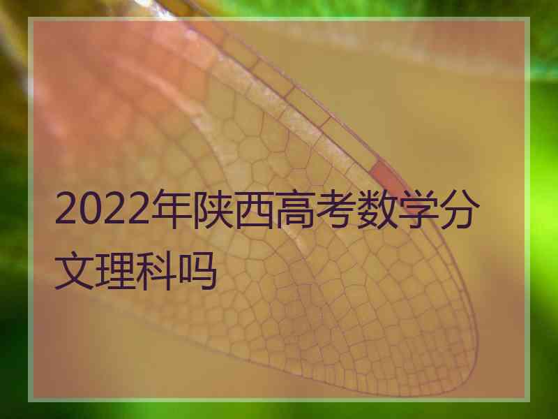 2022年陕西高考数学分文理科吗