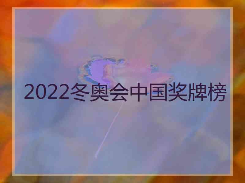 2022冬奥会中国奖牌榜