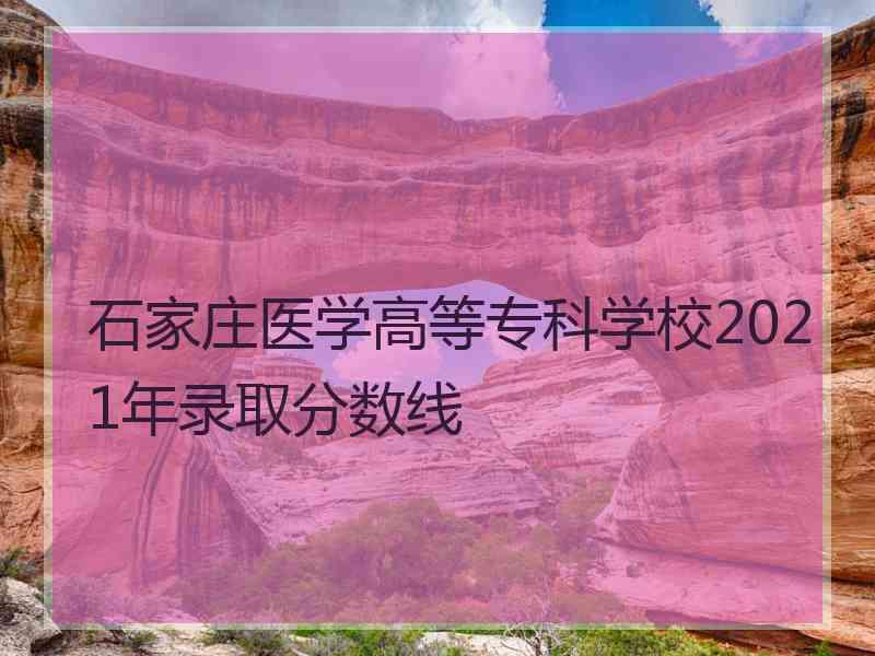 石家庄医学高等专科学校2021年录取分数线