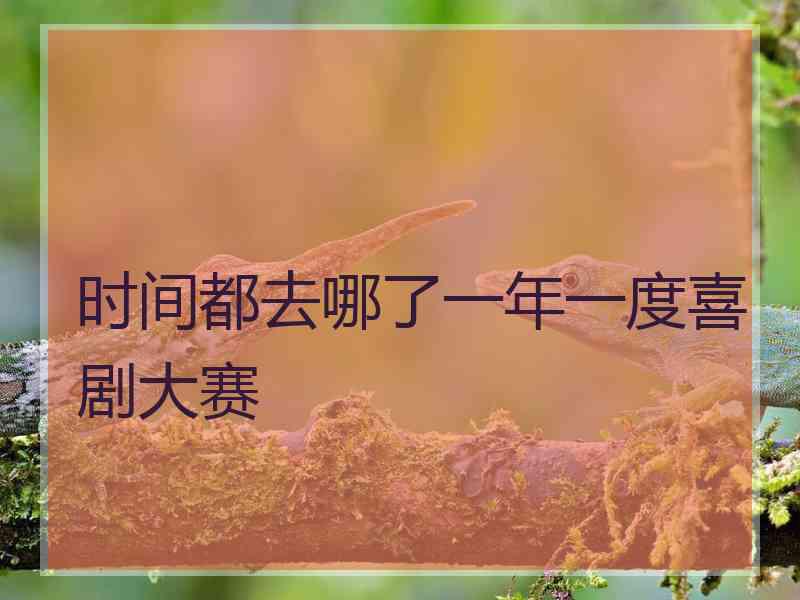 时间都去哪了一年一度喜剧大赛