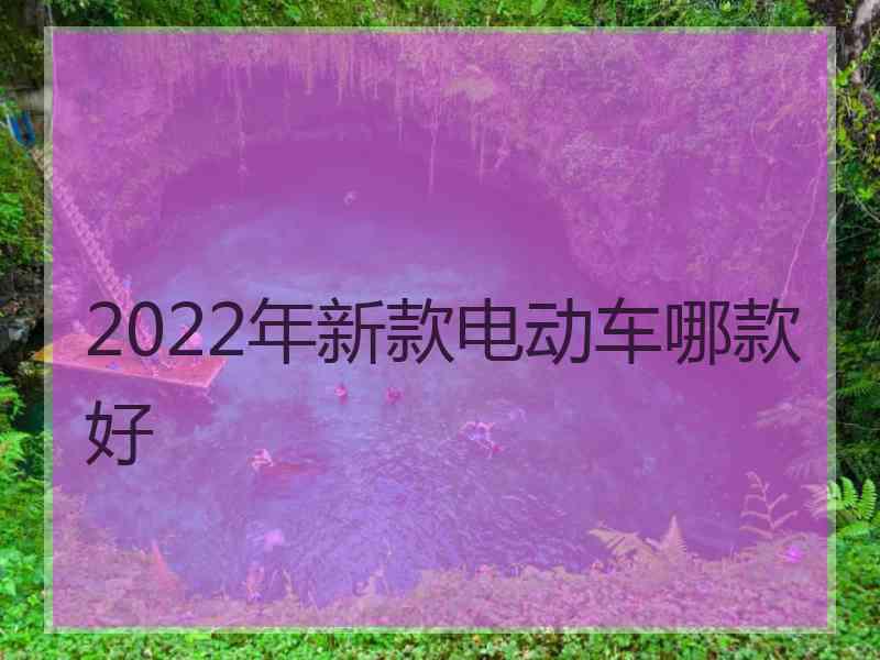 2022年新款电动车哪款好