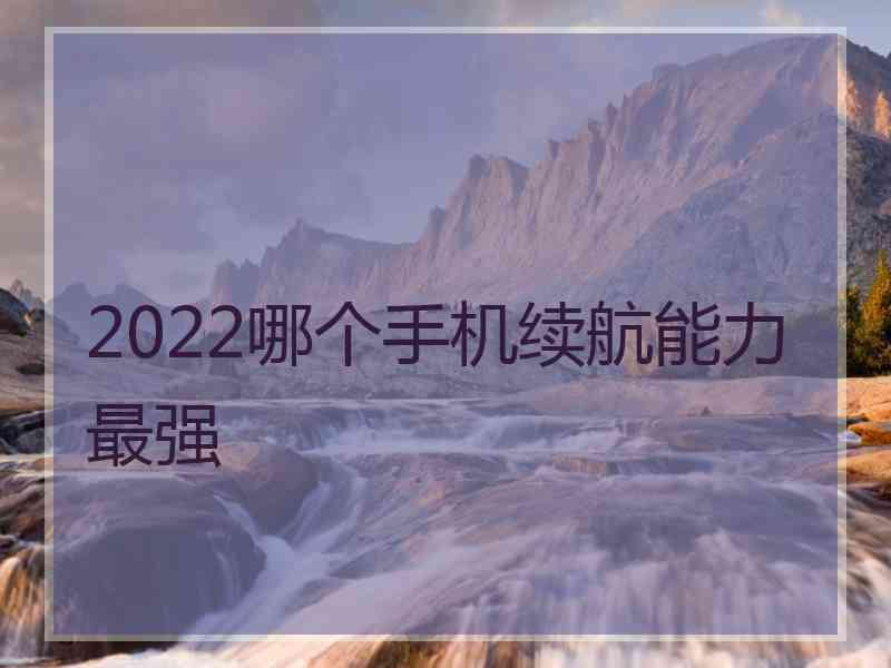 2022哪个手机续航能力最强