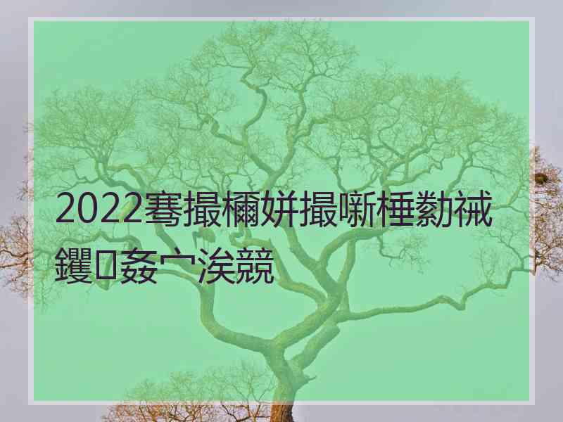 2022骞撮檷姘撮噺棰勬祴钁姦宀涘競