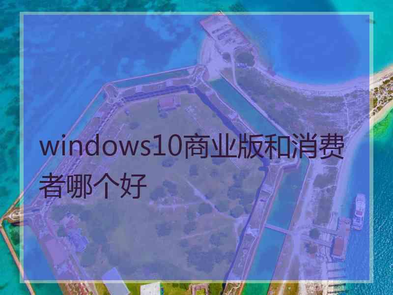 windows10商业版和消费者哪个好