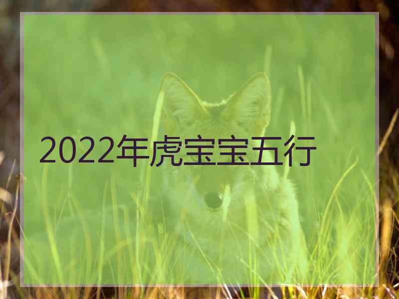 2022年虎宝宝五行