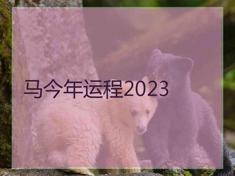 马今年运程2023