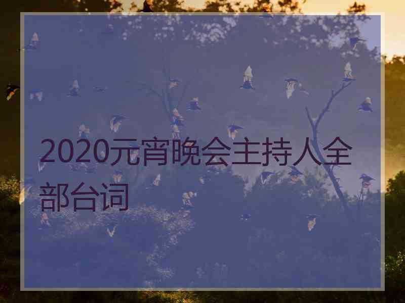 2020元宵晚会主持人全部台词