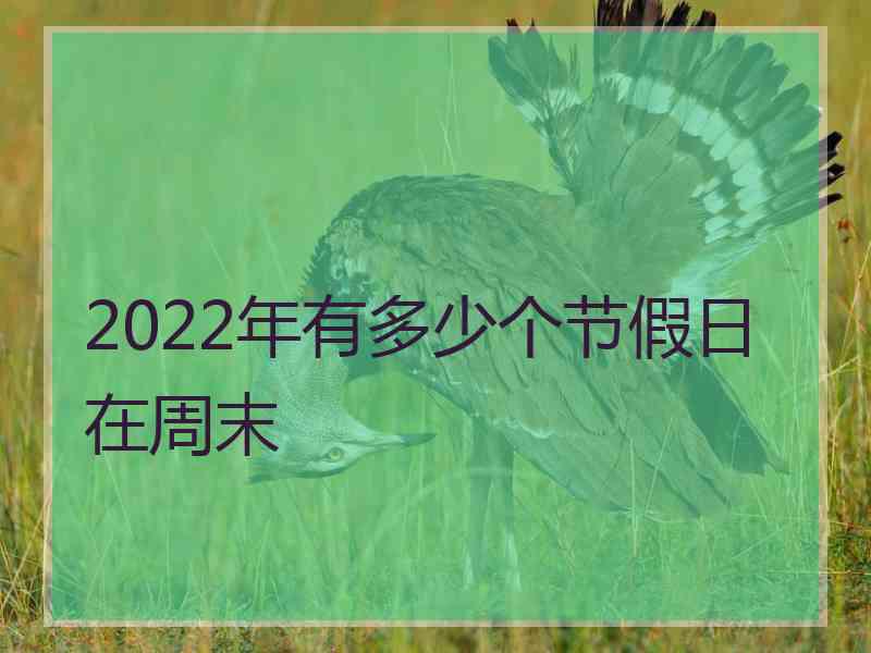 2022年有多少个节假日在周末